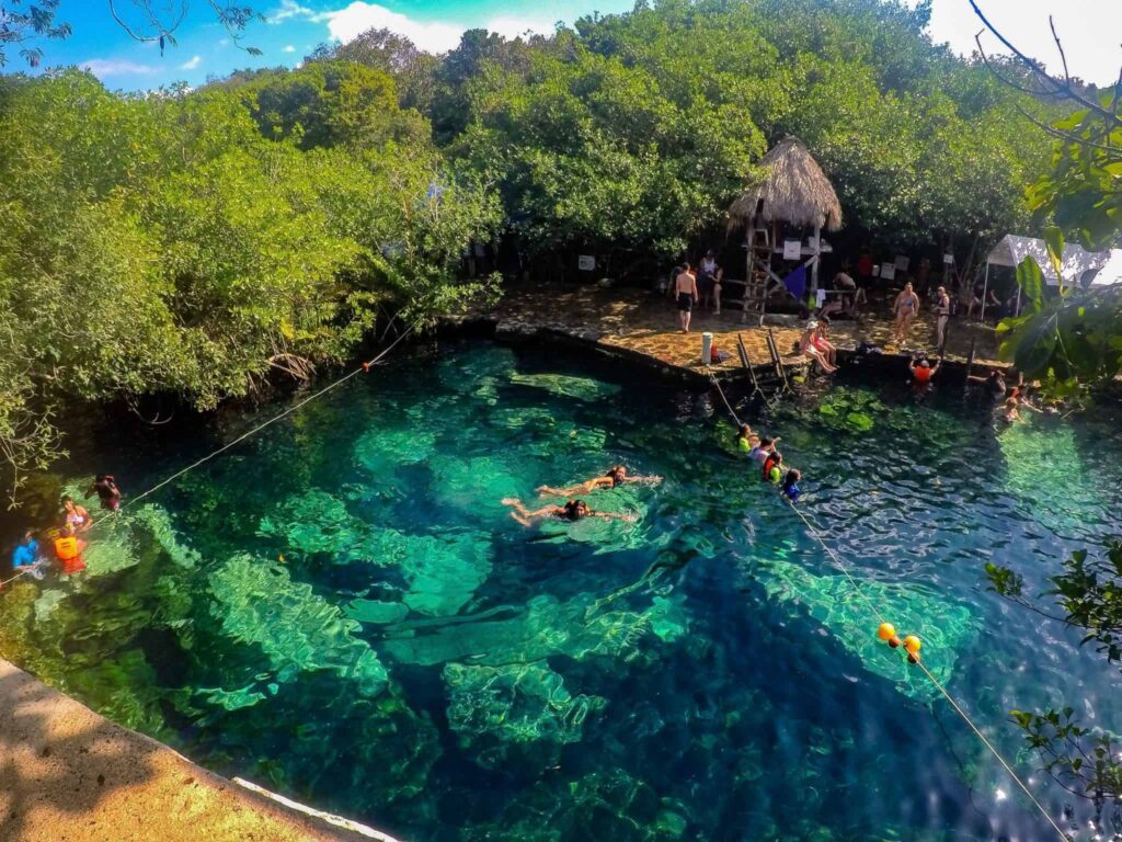 Cenote near Cancun - Cenote cerca de Cancun - Cristalino