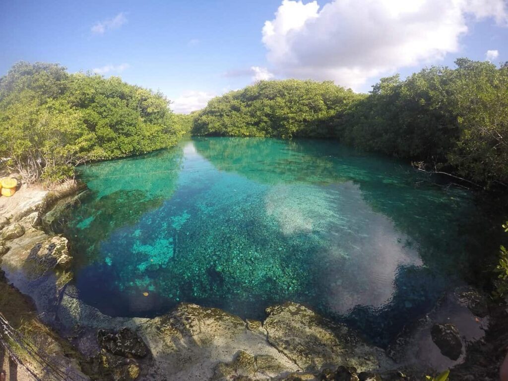 Cenote near Cancun - Cenote cerca de Cancun