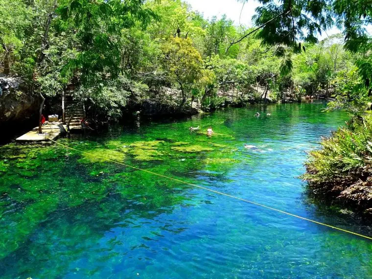 Cenote near Cancun - Cenote cerca de Cancun - Jardin del Eden