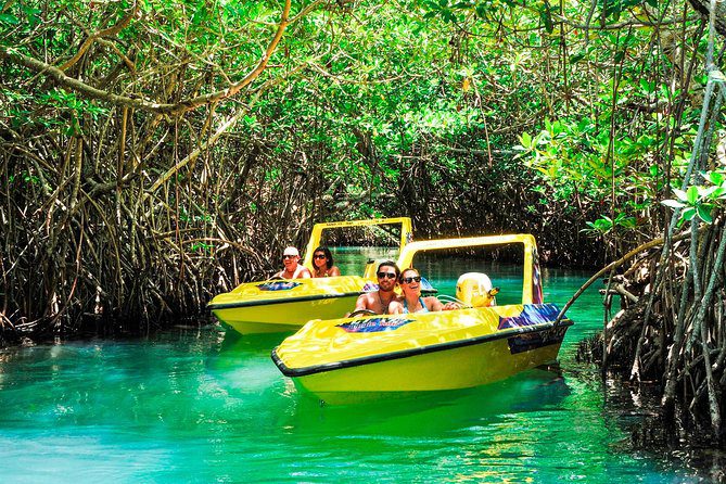 Cancun day trip - Cancun tour - Jungle tour