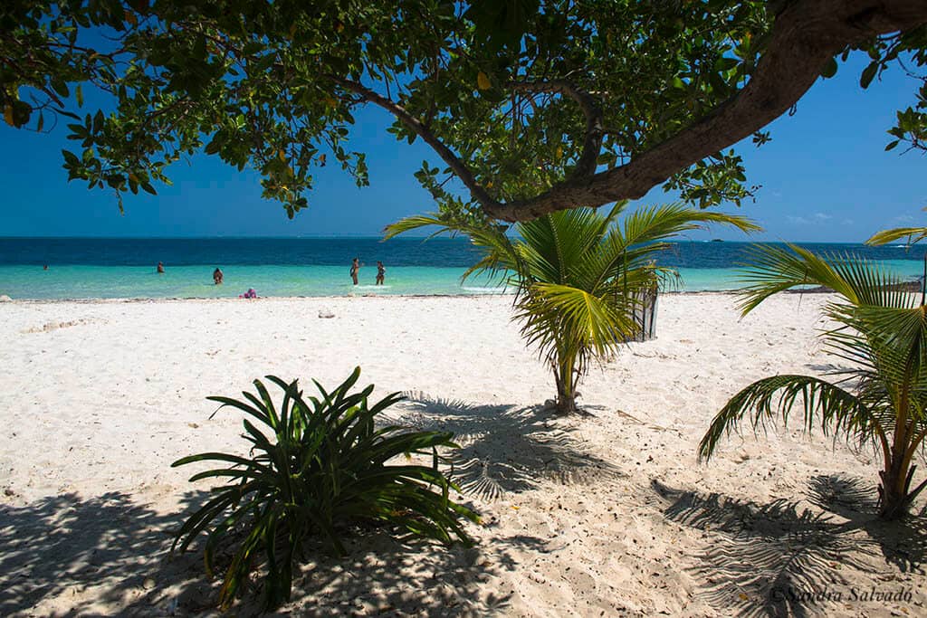 Cancun beaches - Playas Cancun - Pez volador