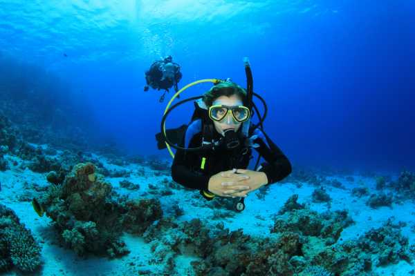 Cancun scuba diving - Buceo