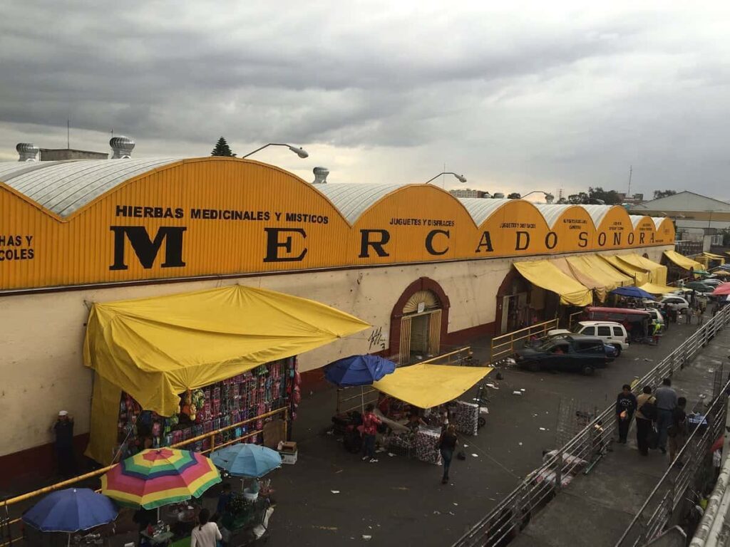 best markets in Mexico City for unusual things - Mercado de Sonora